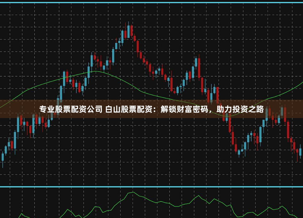 专业股票配资公司 白山股票配资：解锁财富密码，助力投资之路