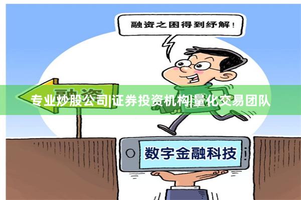 专业炒股公司|证券投资机构|量化交易团队